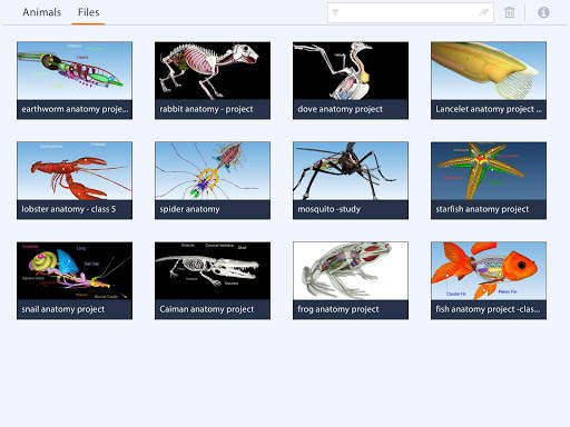 Animalia Educalabs screenshot 8