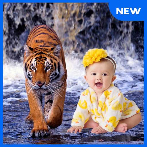 Tiger Photo Frames 1.0.7