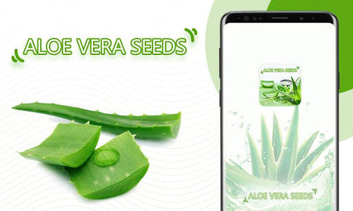 Aloevera Seeds screenshot 1