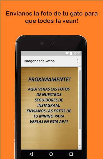 Fotos de Gatos screenshot 1