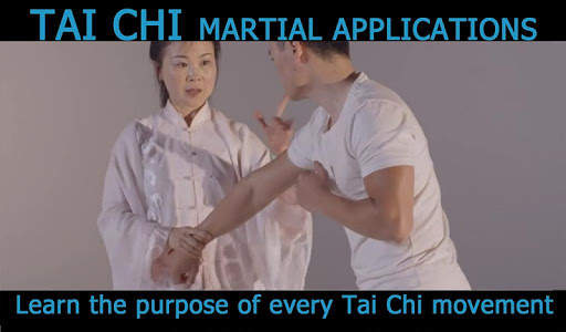 Tai Chi for Beginners 24 Form  screenshot 4