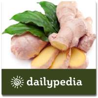 Ginger - Magic Herb Daily
