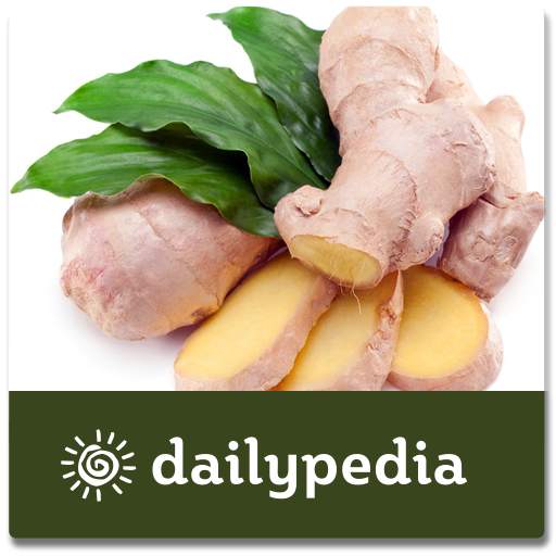 Ginger - Magic Herb Daily 1.3