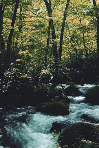 River Live Wallpaper screenshot 5