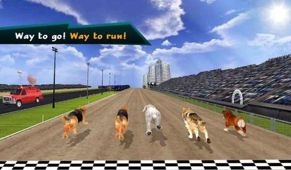 Wild Greyhound Dog Racing screenshot 19