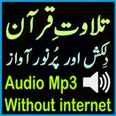 Mp3 Quran Tilawat Audio Shatri 1.3