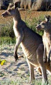 Wild Animals World screenshot 2