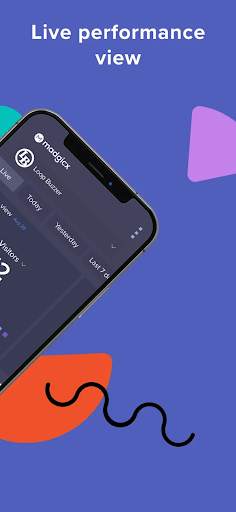Madgicx For Facebook Business screenshot 2