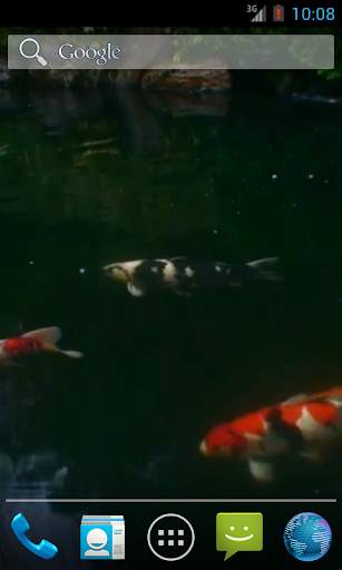 Real pond with Koi screenshot 4