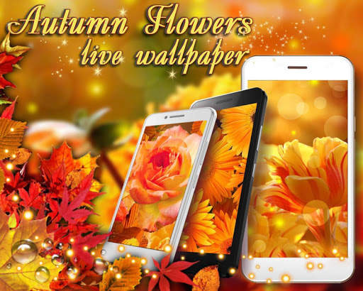 Autumn Flowers Live Wallpaper screenshot 2