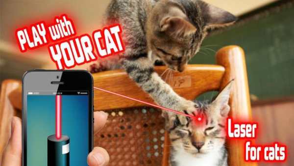 Laser Pointer: Cat Edition screenshot 1