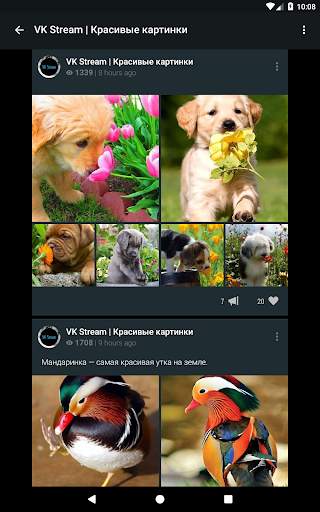 Ночной ВК screenshot 7