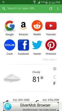 Popular Browser Fast screenshot 1