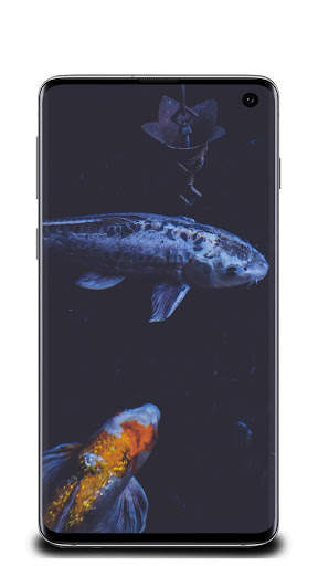 Fish Wallpaper screenshot 4