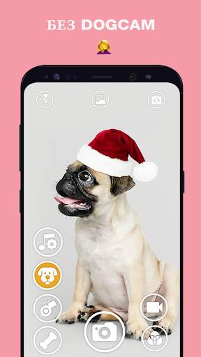 DogCam - Dog Selfie Filters and Camera скриншот 1