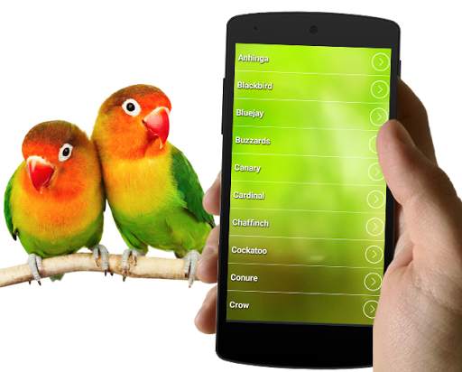 Best Bird Sounds And Ringtones screenshot 3