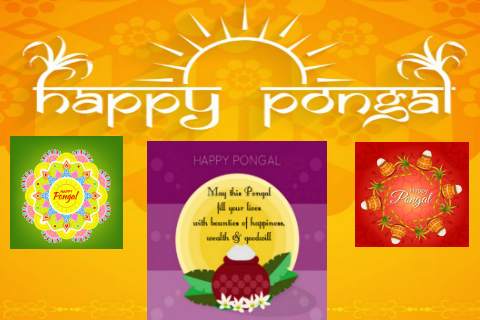 Happy Pongal screenshot 1