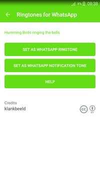 Ringtones for WhatsApp™ screenshot 2
