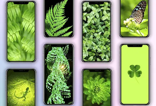 Green Wallpaper screenshot 1