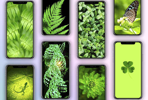 Green Wallpaper screenshot 1