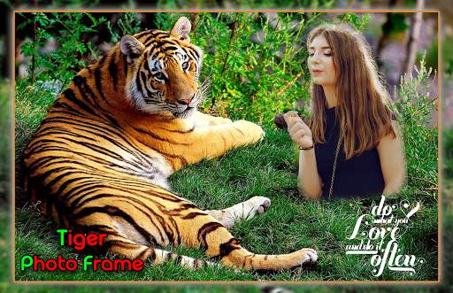 Tiger Photo Frames screenshot 1