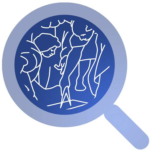 Discover Politecnico 1.3.1