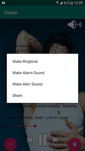 Shawn Mendes Without internet 2 تصوير الشاشة