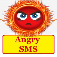 Angry SMS Text Message