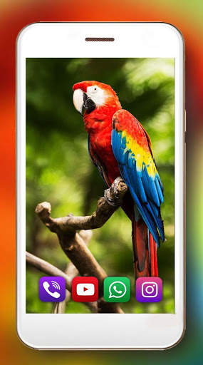Tropic Parrot Live Wallpaper screenshot 4