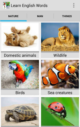 Learn English Words Free screenshot 1