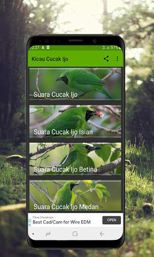 Kicau Cucak Ijo Gacor - Offline screenshot 1