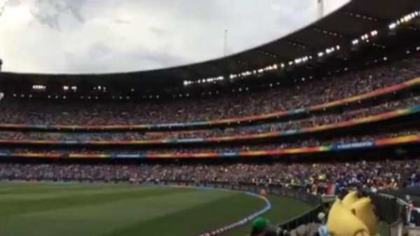 Cricket Live Line screenshot 3