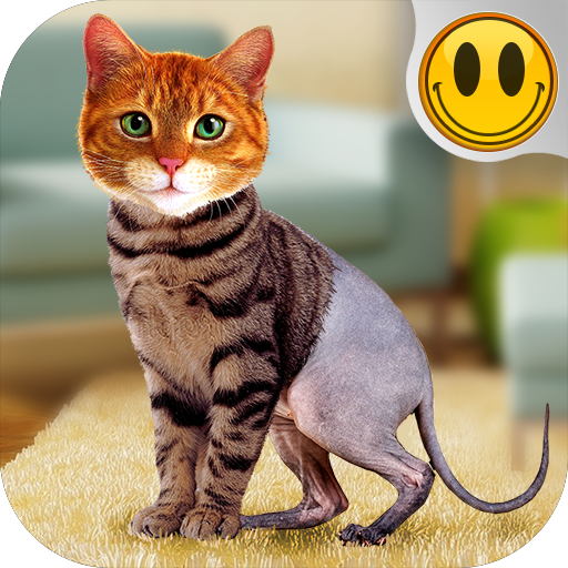 Simulator Morph Cat icon