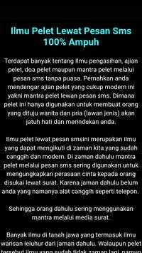 Sakti Pellet Spell screenshot 5