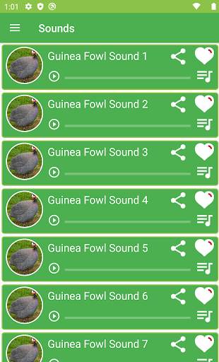Guinea Fowl Sounds & Calls screenshot 1