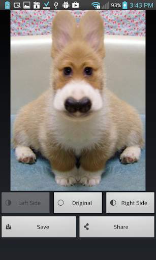 Bisymmetry - make funny photo screenshot 3