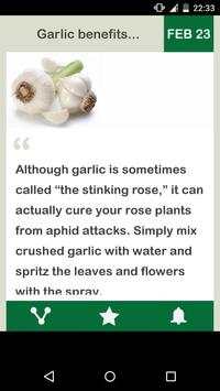 Garlic Daily screenshot 2