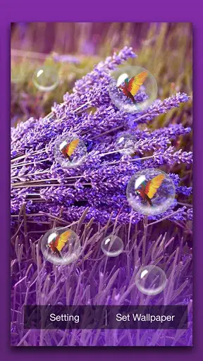 Lavender Live Wallpaper 2 تصوير الشاشة