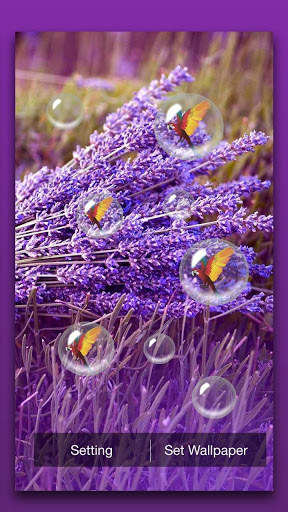 Lavender Live Wallpaper screenshot 2
