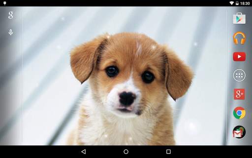 Puppies Live Wallpaper screenshot 8