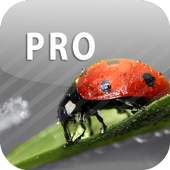 ColorUp - Photo Editor 2.4.21