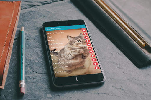 Cat Sounds Ringtones Purr screenshot 1