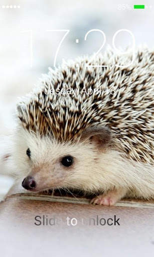 Hedgehog Lock Screen screenshot 2