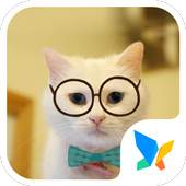 Cute Kittens 91 Launcher Theme 1.0