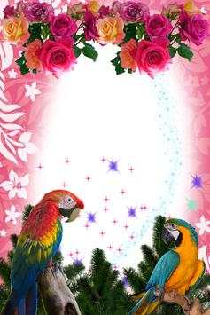 Macaw Birds Photo Frames screenshot 4