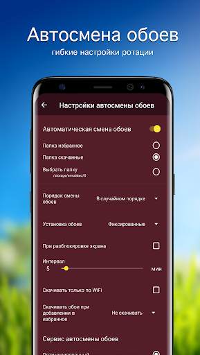 Обои с тюльпанами | Тюльпаны скриншот 4