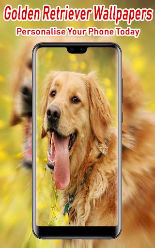 Golden Retriever Wallpaper screenshot 1