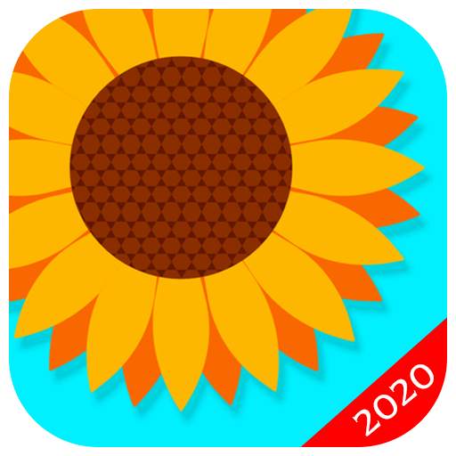Gallery Pro - File Manager 1.1