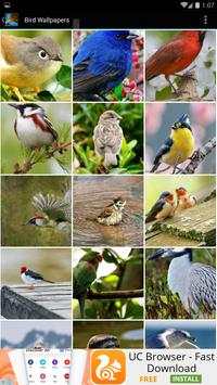 Bird Wallpapers screenshot 2