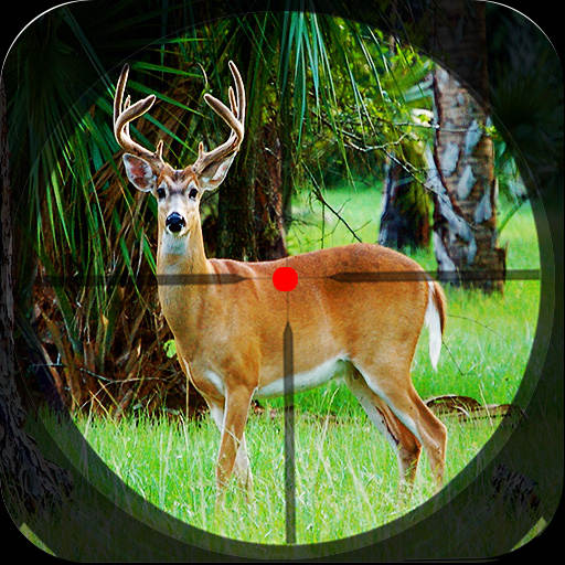 Safari Deer Hunting: Gun Games 1.79